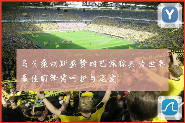 乌戈桑切斯盛赞姆巴佩称其为世界最佳前锋需呵护与宠爱